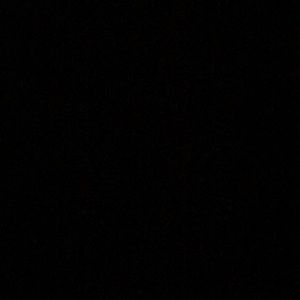 Meet your Posher, Dandy